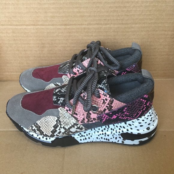 Steve Madden Shoes - Steve Madden Women's Cliff Snake Sneaker **NEW**
